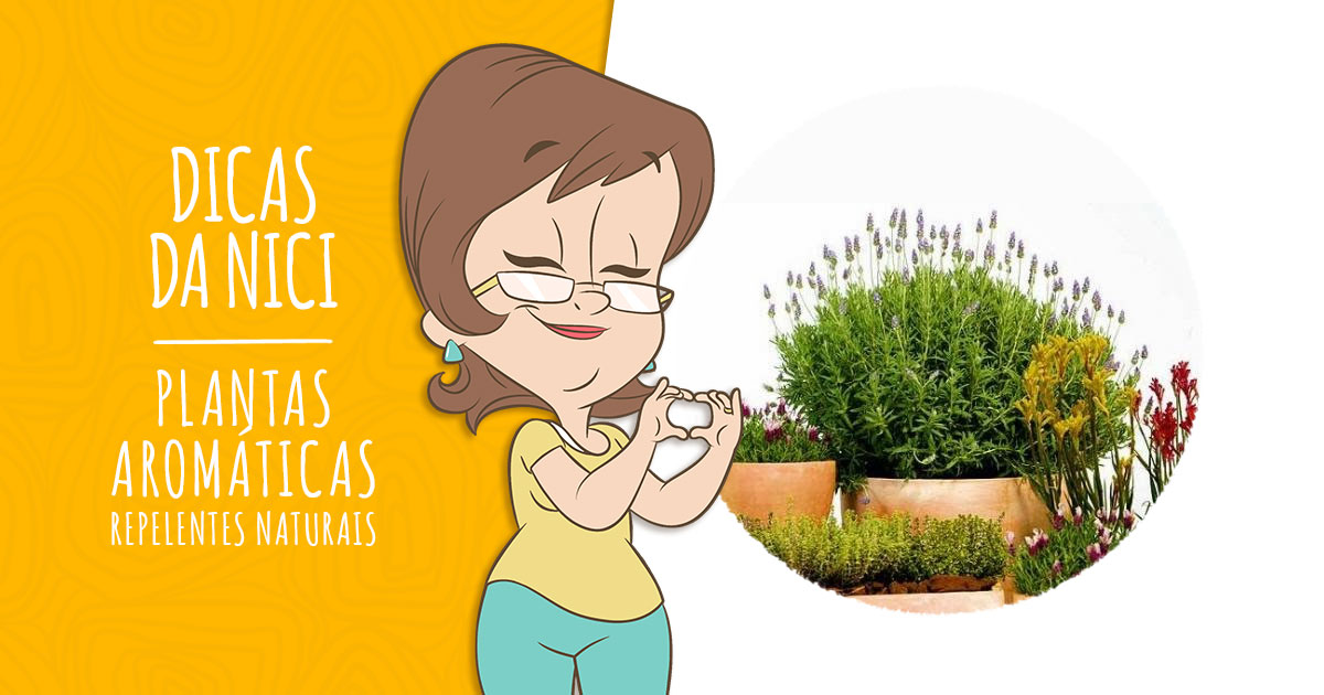 9 Plantas Aromáticas que atuam como Repelentes Naturais